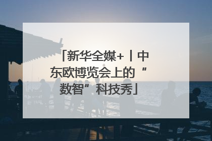 新华全媒+丨中东欧博览会上的“数智”科技秀