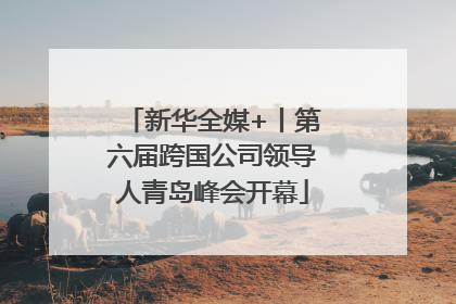 新华全媒+丨第六届跨国公司领导人青岛峰会开幕