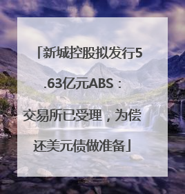 新城控股拟发行5.63亿元ABS：交易所已受理，为偿还美元债做准备