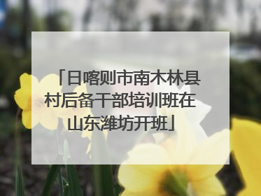 日喀则市南木林县村后备干部培训班在山东潍坊开班