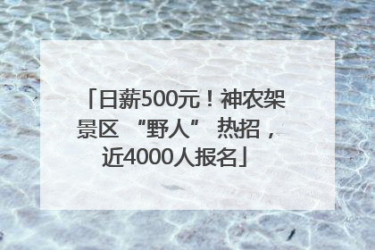 日薪500元！神农架景区 “野人” 热招，近4000人报名