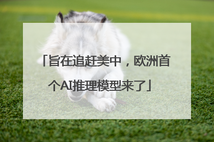 旨在追赶美中，欧洲首个AI推理模型来了