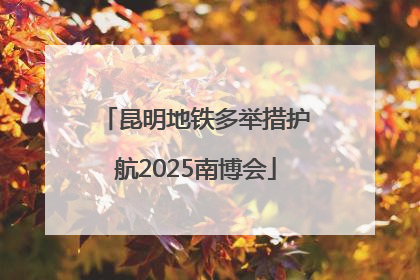 昆明地铁多举措护航2025南博会