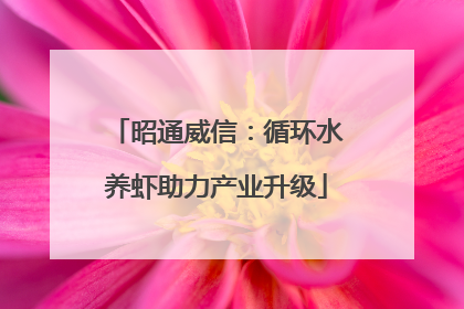 昭通威信：循环水养虾助力产业升级