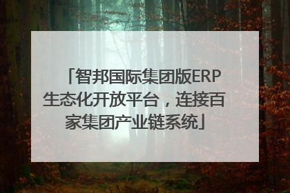 智邦国际集团版ERP生态化开放平台，连接百家集团产业链系统