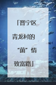 晋宁区青龙村的“菌”情致富路