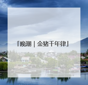 晚潮｜金猪千年律