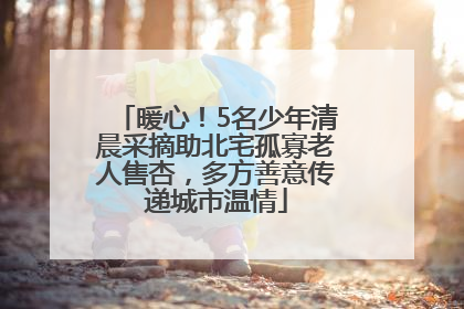 暖心！5名少年清晨采摘助北宅孤寡老人售杏，多方善意传递城市温情