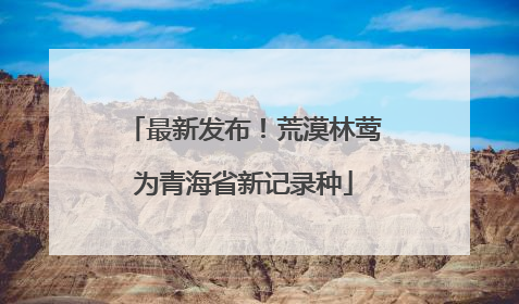 最新发布！荒漠林莺为青海省新记录种