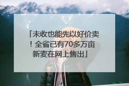未收也能先以好价卖！全省已有70多万亩新麦在网上售出