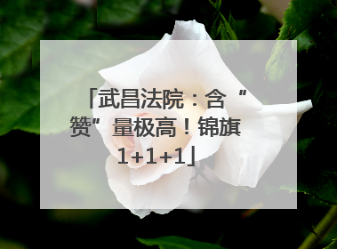 武昌法院：含“赞”量极高！锦旗1+1+1