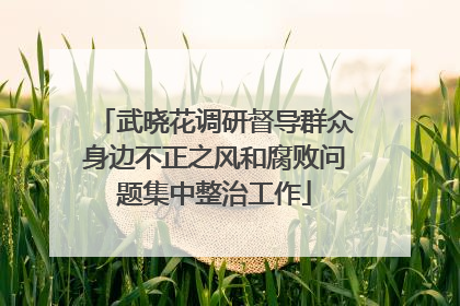 武晓花调研督导群众身边不正之风和腐败问题集中整治工作