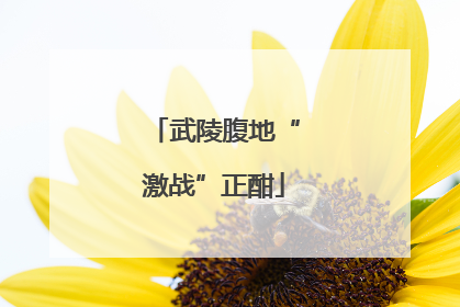 武陵腹地“激战”正酣