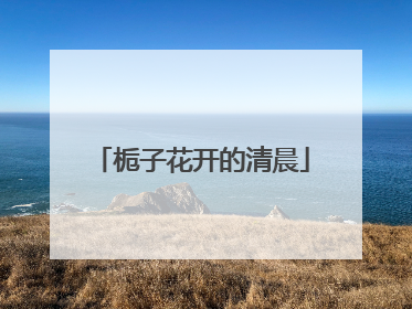 栀子花开的清晨