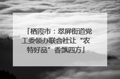 栖霞市：翠屏街道党工委领办联合社让“农特好品”香飘四方