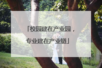 校园建在产业园，专业建在产业链