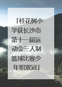 桂花树小学获长沙市第十一届运动会三人制篮球比赛少年组双冠