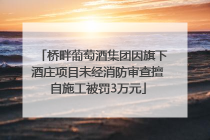 桥畔葡萄酒集团因旗下酒庄项目未经消防审查擅自施工被罚3万元