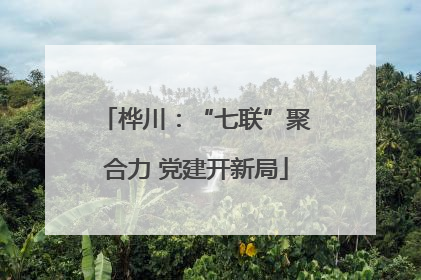 桦川：“七联”聚合力 党建开新局
