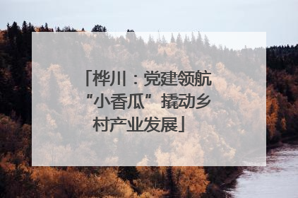 桦川：党建领航“小香瓜”撬动乡村产业发展
