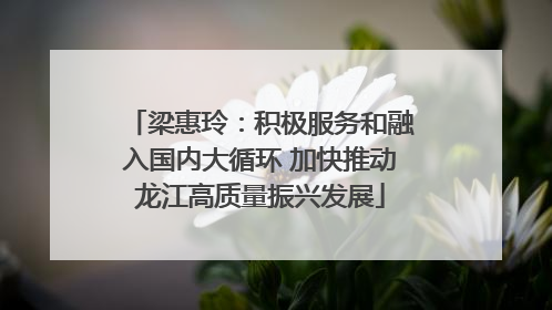梁惠玲：积极服务和融入国内大循环 加快推动龙江高质量振兴发展