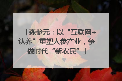 森参元：以“互联网+认养”重塑人参产业，争做时代“新农民”