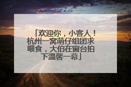 欢迎你，小客人！杭州一窝萌仔组团求喂食，大伯在窗台拍下温馨一幕
