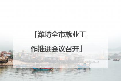潍坊全市就业工作推进会议召开