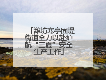 潍坊寒亭固堤街道全力以赴护航“三夏”安全生产工作