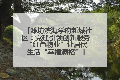 潍坊滨海学府新城社区：党建引领创新服务 “红色物业”让居民生活“幸福满格”