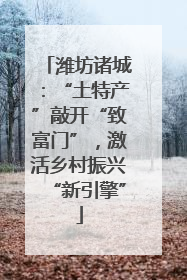 潍坊诸城：“土特产”敲开“致富门”，激活乡村振兴“新引擎”
