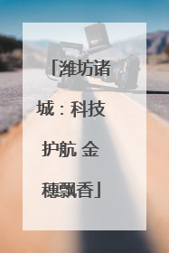 潍坊诸城：科技护航 金穗飘香