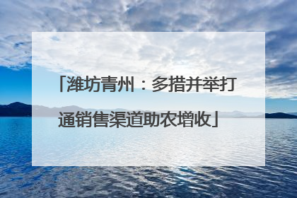 潍坊青州：多措并举打通销售渠道助农增收