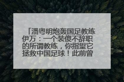 潘粤明炮轰国足教练伊万：一个装傻不辞职的所谓教练，你指望它拯救中国足球！此前曾多次发文评价国足