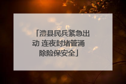 澧县民兵紧急出动 连夜封堵管涌除险保安全