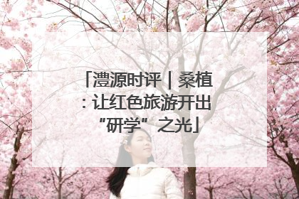 澧源时评｜桑植：让红色旅游开出“研学”之光