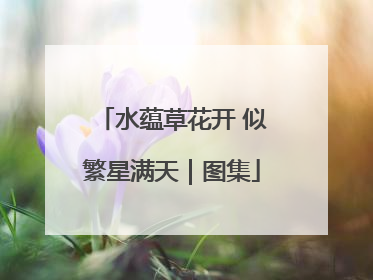 水蕴草花开 似繁星满天｜图集
