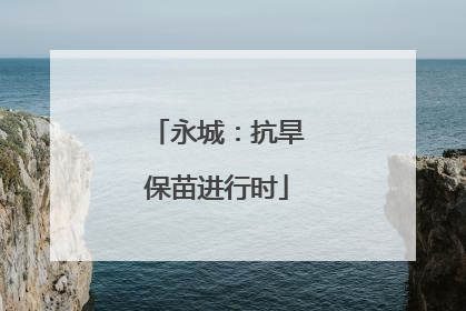 永城：抗旱保苗进行时