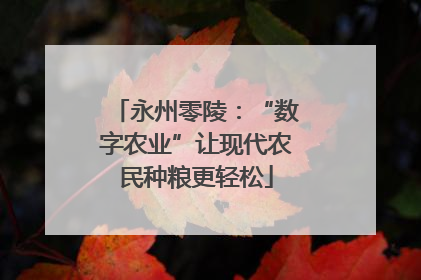 永州零陵：“数字农业”让现代农民种粮更轻松