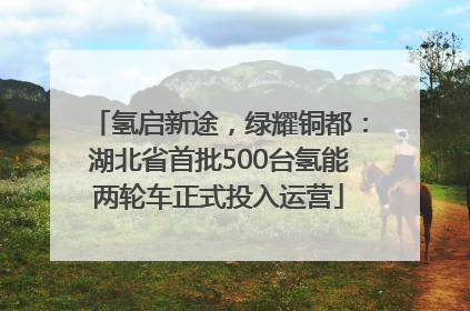 氢启新途，绿耀铜都：湖北省首批500台氢能两轮车正式投入运营