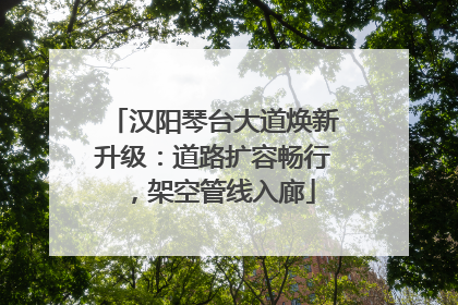 汉阳琴台大道焕新升级：道路扩容畅行，架空管线入廊