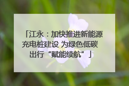 江永：加快推进新能源充电桩建设 为绿色低碳出行“赋能续航”