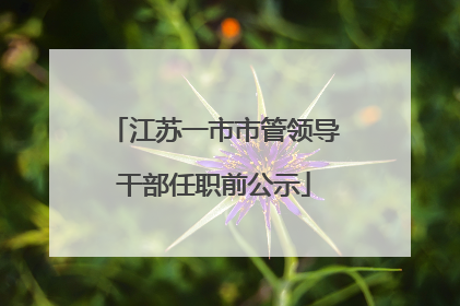 江苏一市市管领导干部任职前公示