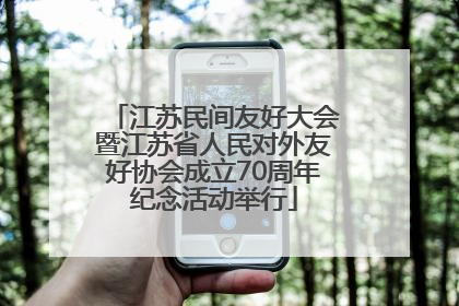 江苏民间友好大会暨江苏省人民对外友好协会成立70周年纪念活动举行