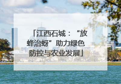 江西石城：“放蜂治蚜”助力绿色防控与农业发展