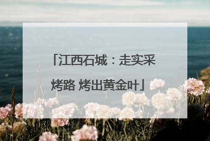 江西石城：走实采烤路 烤出黄金叶