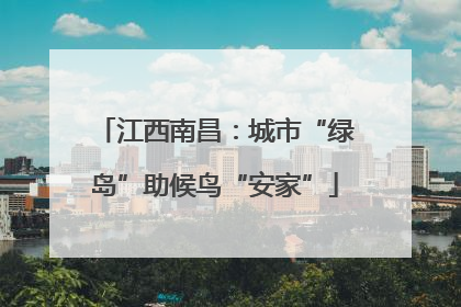 江西南昌：城市“绿岛”助候鸟“安家”