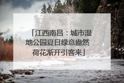 江西南昌：城市湿地公园夏日绿意盎然 荷花渐开引客来