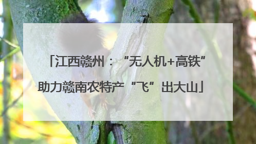 江西赣州：“无人机+高铁”助力赣南农特产“飞”出大山