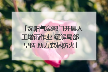 沈阳气象部门开展人工增雨作业 缓解局部旱情 助力森林防火